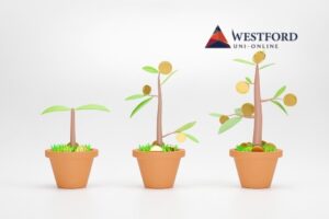 Global Sustainability Bond Issuance