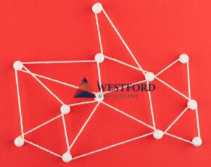 Clustering-Techniques-in-Data-Science