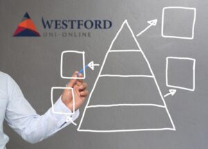 The Project Management Triangle-Visualizing Success with Structured Efforts 