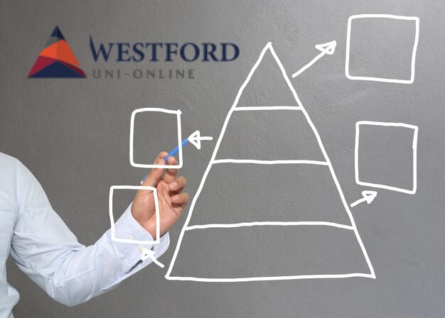 The Project Management Triangle-Visualizing Success with Structured Efforts 